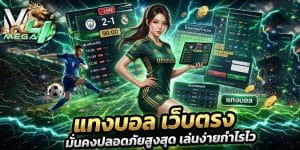 แทงบอล เว็บตรง